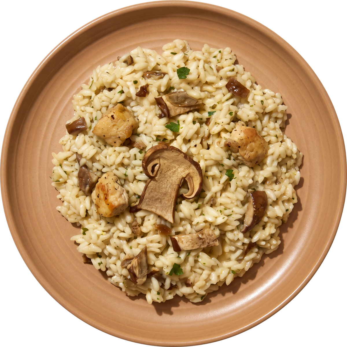 Risotto ai Porcini, piatto cotto visto dall’alto