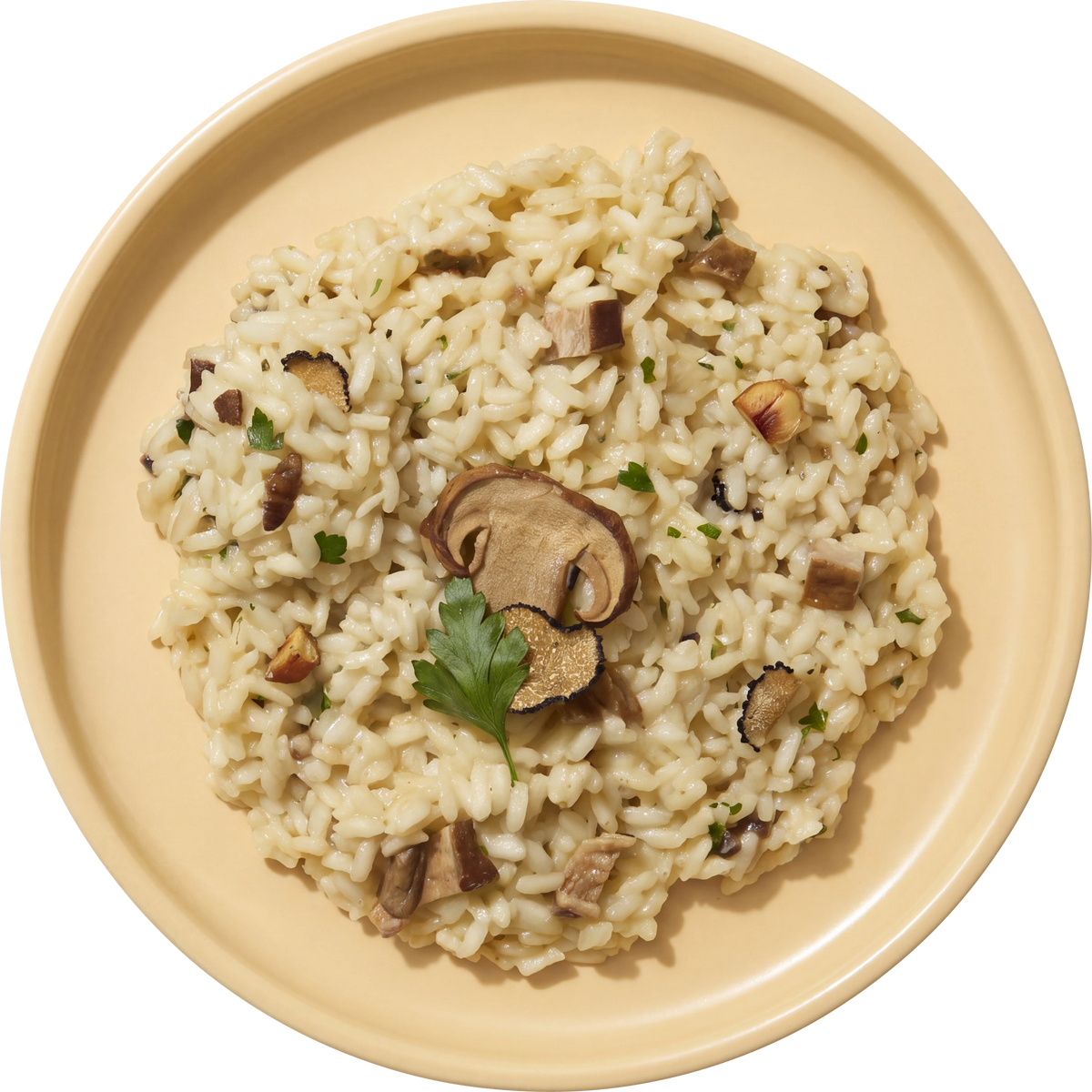 Risotto ai Porcini e Tartufo, piatto cotto visto dall’alto
